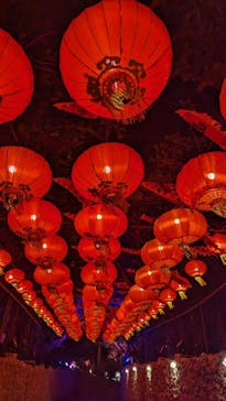 体験王国 むら咲むらに投稿された画像（2024/1/3）