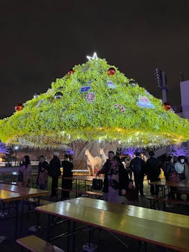 東京メガイルミに投稿された画像（2024/1/3）