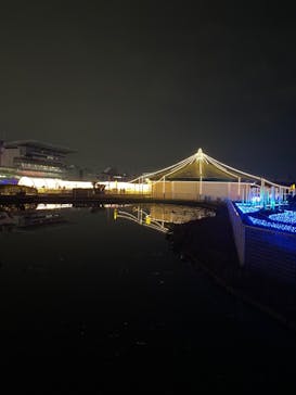 東京メガイルミに投稿された画像（2024/1/3）