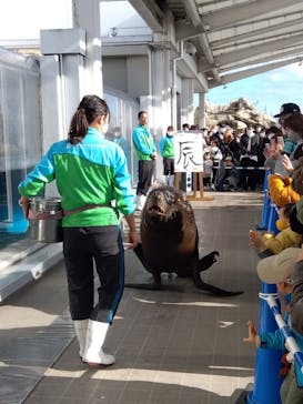 仙台うみの杜水族館に投稿された画像（2024/1/3）