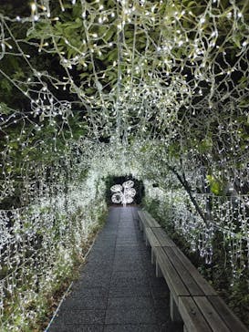 アクロス福岡イルミネーションに投稿された画像（2024/1/3）