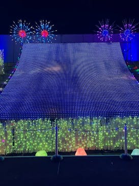 アクロス福岡イルミネーションに投稿された画像（2024/1/3）