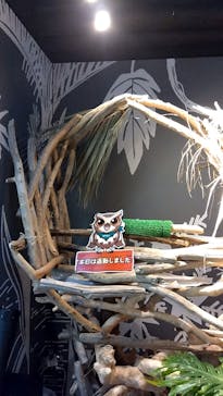 カワスイ 川崎⽔族館に投稿された画像（2024/1/3）