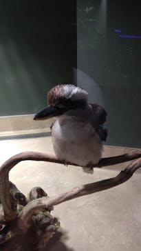 カワスイ 川崎⽔族館に投稿された画像（2024/1/3）