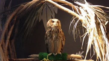 カワスイ 川崎⽔族館に投稿された画像（2024/1/3）