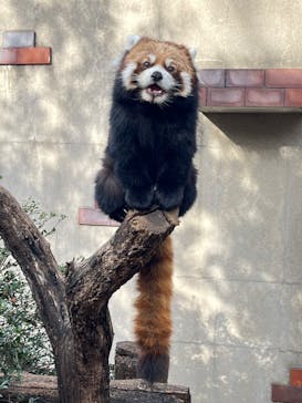 群馬サファリパークに投稿された画像（2024/1/3）