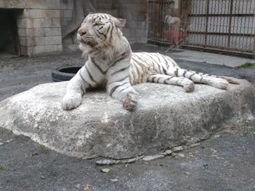 東武動物公園に投稿された画像（2024/1/3）