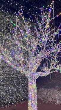 NESTA RESORT KOBE（ネスタリゾート神戸）に投稿された画像（2024/1/3）