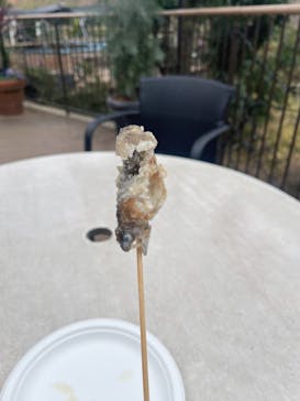 NESTA RESORT KOBE（ネスタリゾート神戸）に投稿された画像（2024/1/3）