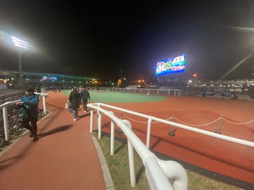 東京メガイルミに投稿された画像（2024/1/3）