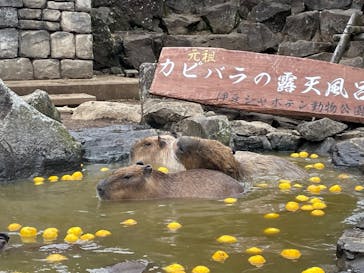 伊豆シャボテン動物公園に投稿された画像（2024/1/3）