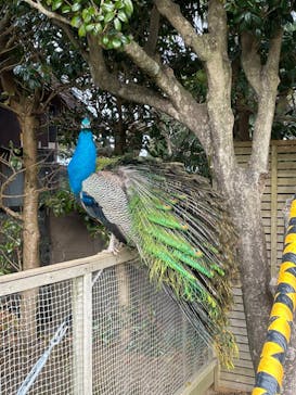伊豆シャボテン動物公園に投稿された画像（2024/1/3）