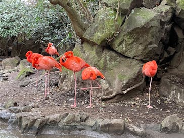 伊豆シャボテン動物公園に投稿された画像（2024/1/3）