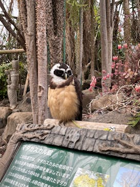 伊豆シャボテン動物公園に投稿された画像（2024/1/3）