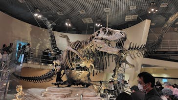 国立科学博物館に投稿された画像（2024/1/3）