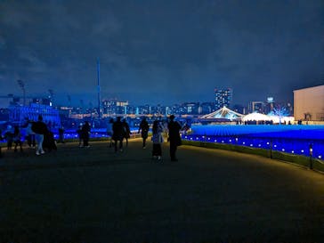 東京メガイルミに投稿された画像（2024/1/3）