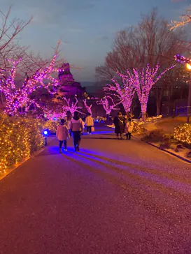 ひらかたパークに投稿された画像（2024/1/3）