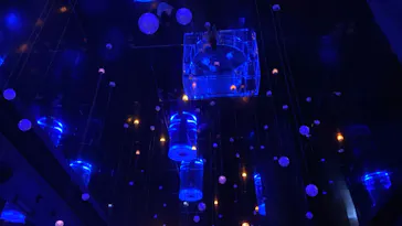 マクセル アクアパーク品川に投稿された画像（2024/1/3）