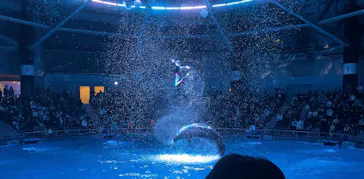 マクセル アクアパーク品川に投稿された画像（2024/1/3）