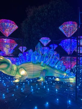 伊豆ぐらんぱる公園に投稿された画像（2024/1/3）