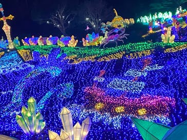 伊豆ぐらんぱる公園に投稿された画像（2024/1/3）