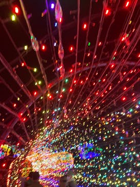 伊豆ぐらんぱる公園に投稿された画像（2024/1/3）