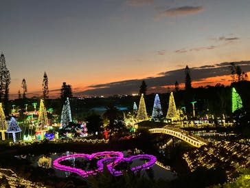 美らヤシパークオキナワ・東南植物楽園に投稿された画像（2024/1/4）