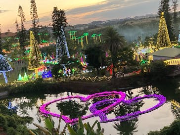 美らヤシパークオキナワ・東南植物楽園に投稿された画像（2024/1/4）