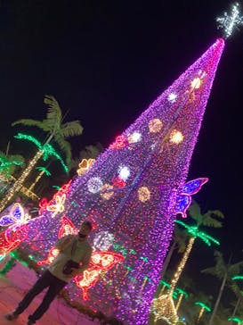 美らヤシパークオキナワ・東南植物楽園に投稿された画像（2024/1/4）