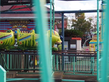 伊豆ぐらんぱる公園に投稿された画像（2024/1/4）