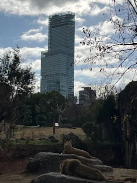 天王寺動物園に投稿された画像（2024/1/4）
