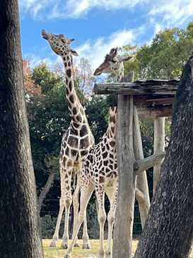 天王寺動物園に投稿された画像（2024/1/4）