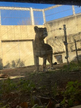 東武動物公園に投稿された画像（2024/1/4）