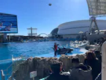 名古屋港水族館に投稿された画像（2024/1/4）