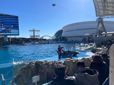 名古屋港水族館に投稿された画像（2024/1/4）