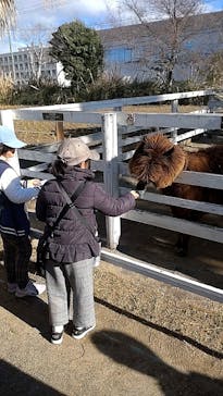 神戸どうぶつ王国に投稿された画像（2024/1/4）