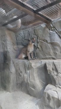 神戸どうぶつ王国に投稿された画像（2024/1/4）