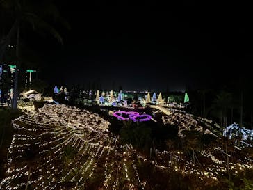 美らヤシパークオキナワ・東南植物楽園に投稿された画像（2024/1/4）