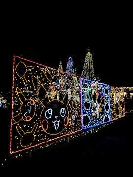 美らヤシパークオキナワ・東南植物楽園に投稿された画像（2024/1/4）