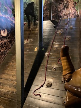 モビリティリゾートもてぎに投稿された画像（2024/1/4）