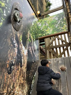 モビリティリゾートもてぎに投稿された画像（2024/1/4）