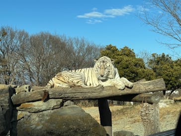 群馬サファリパークに投稿された画像（2024/1/4）