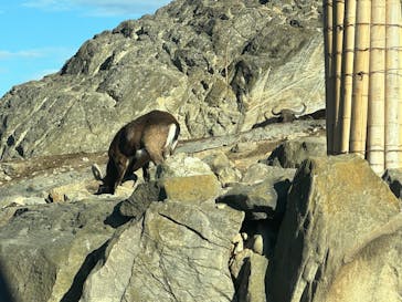 群馬サファリパークに投稿された画像（2024/1/4）