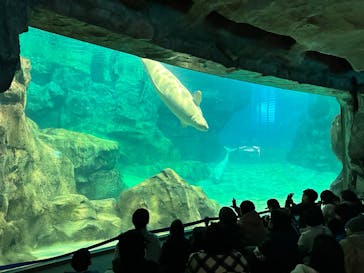 名古屋港水族館に投稿された画像（2024/1/4）