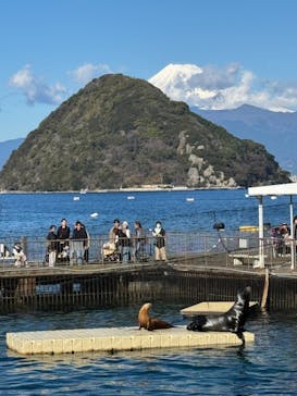 伊豆・三津シーパラダイスに投稿された画像（2024/1/4）