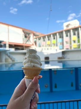 伊豆・三津シーパラダイスに投稿された画像（2024/1/4）