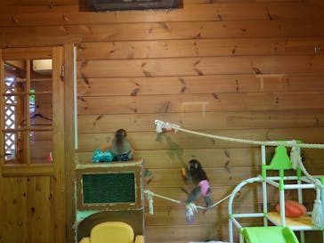 おさるランド＆アニタウン　日光さる軍団劇場に投稿された画像（2024/1/4）