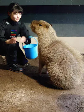 マクセル アクアパーク品川に投稿された画像（2024/1/4）