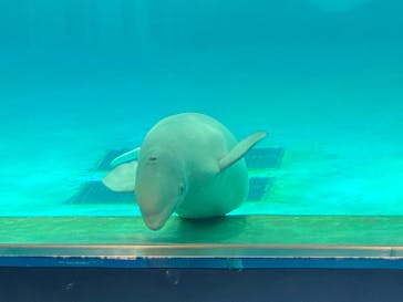 鴨川シーワールドに投稿された画像（2024/1/4）