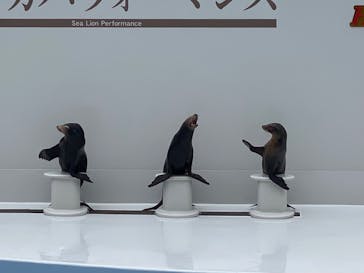 鴨川シーワールドに投稿された画像（2024/1/4）